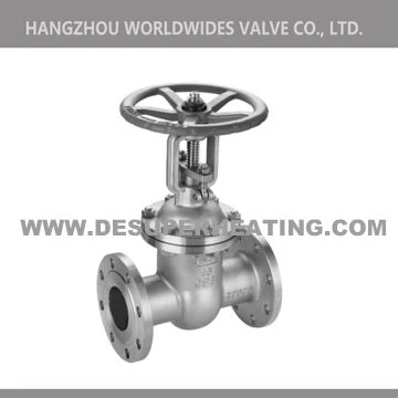 Stainless Steel Class 300 Gate Valve